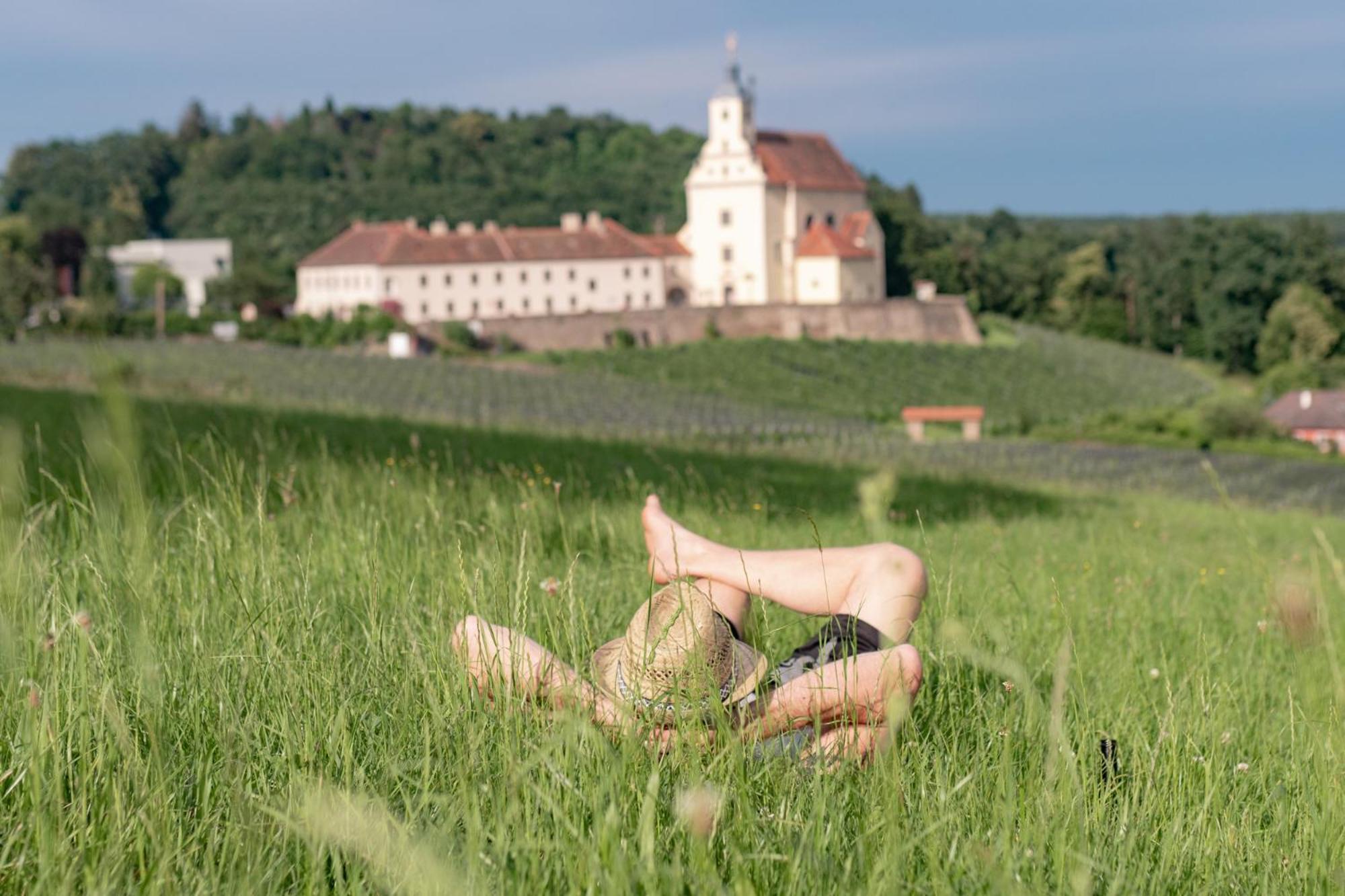 Отель Landgut Riegerbauer Sankt Johann bei Herberstein Экстерьер фото
